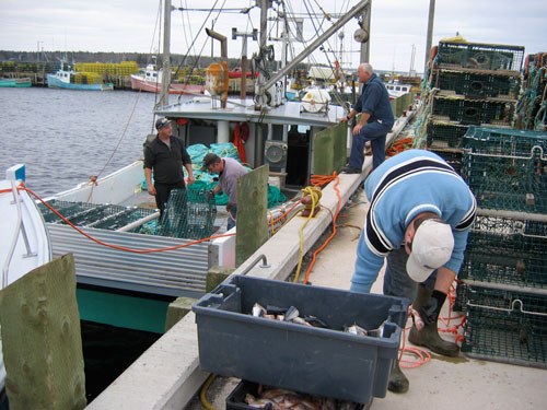 Lobster fishermen ready their boats for the start of the season