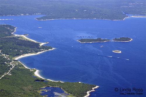 Overview of the Bay and Fishing Boats