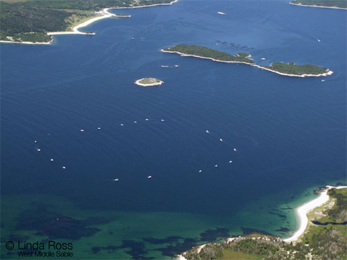 Port Mouton Bay fishing boats demonstrate the location and size of the proposed fish farm.