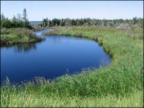 Stream on Port Moutin Island