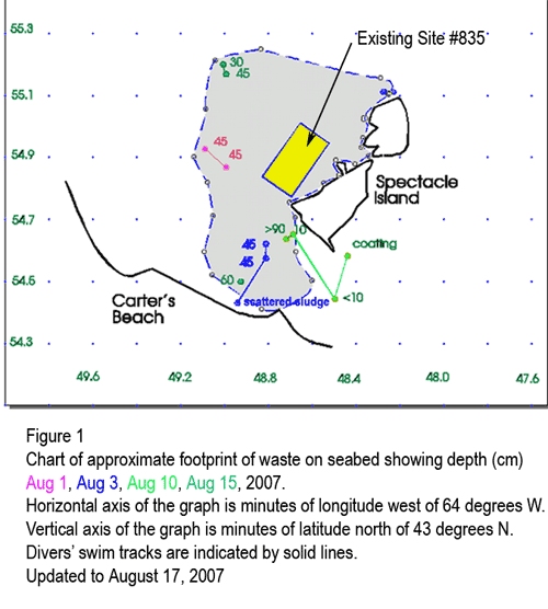 Diagram showing approximate footprint of waste around Site 835