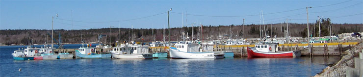 Lobster boats tied up during the off season