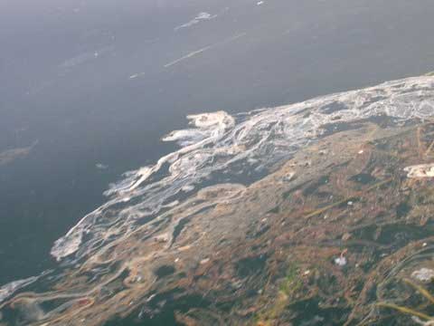 Another photo of brown flaoting waste from Fish Farm Aug 5, 2012