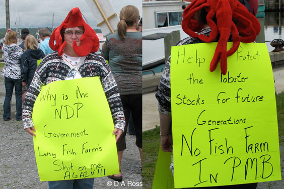 fpmb-rally-no-fish-farm-daross