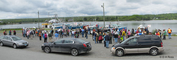 fpmb-rally-overview-daross