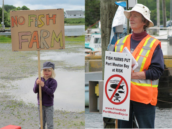 fpmb-rally-young-protester-daross