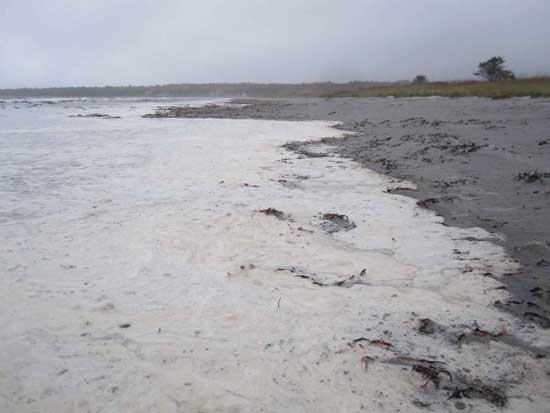 summerville-scum-eastern-end-20121016-jpottie